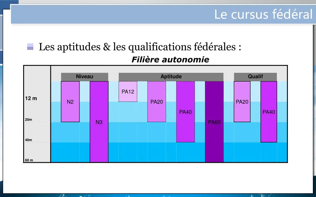 le cursus f d ral 4