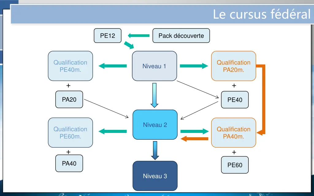 le cursus f d ral 5
