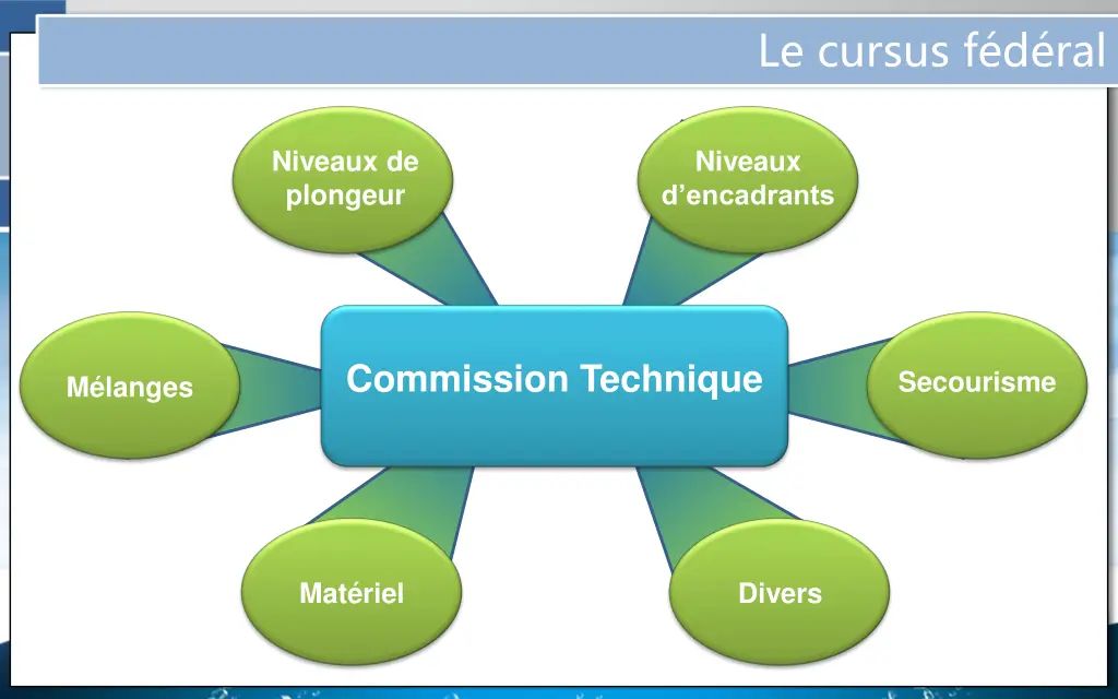 le cursus f d ral