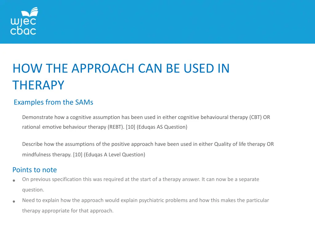 how the approach can be used in therapy