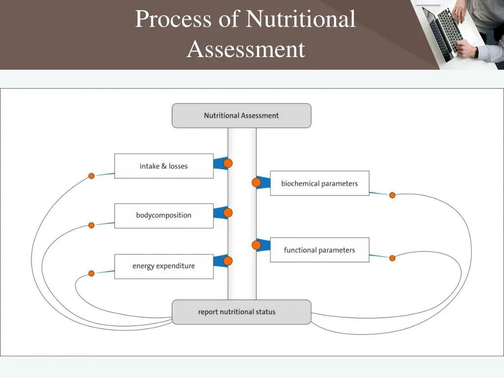 process of nutritional assessment