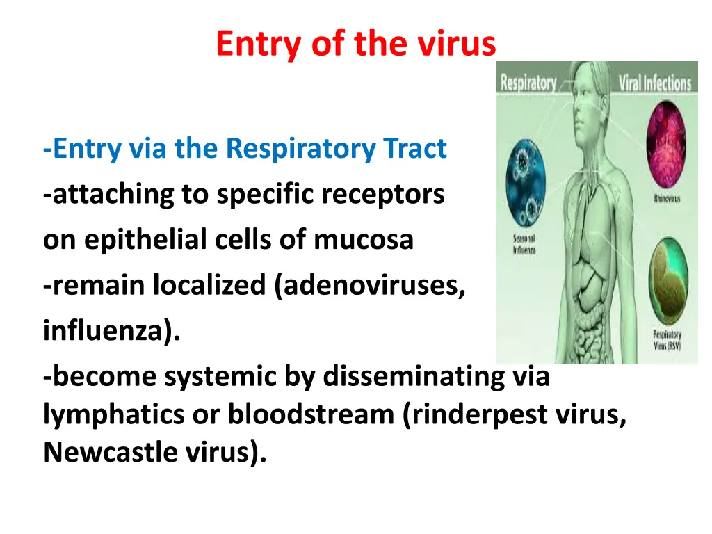 entry of the virus