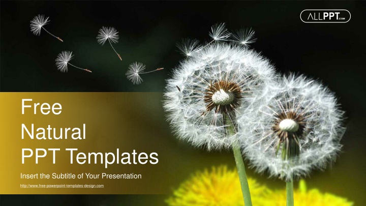 free natural ppt templates insert the subtitle