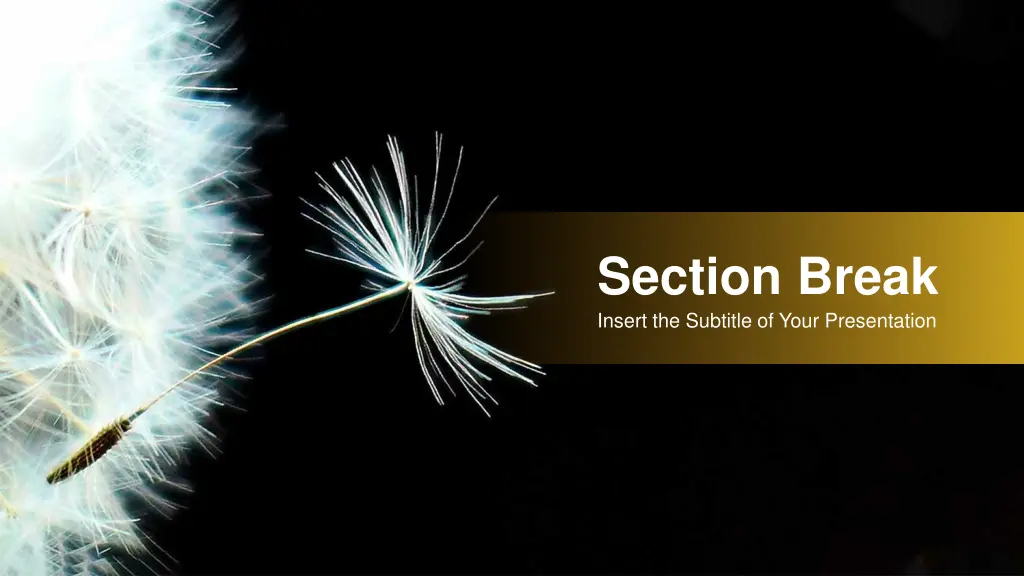 section break insert the subtitle of your