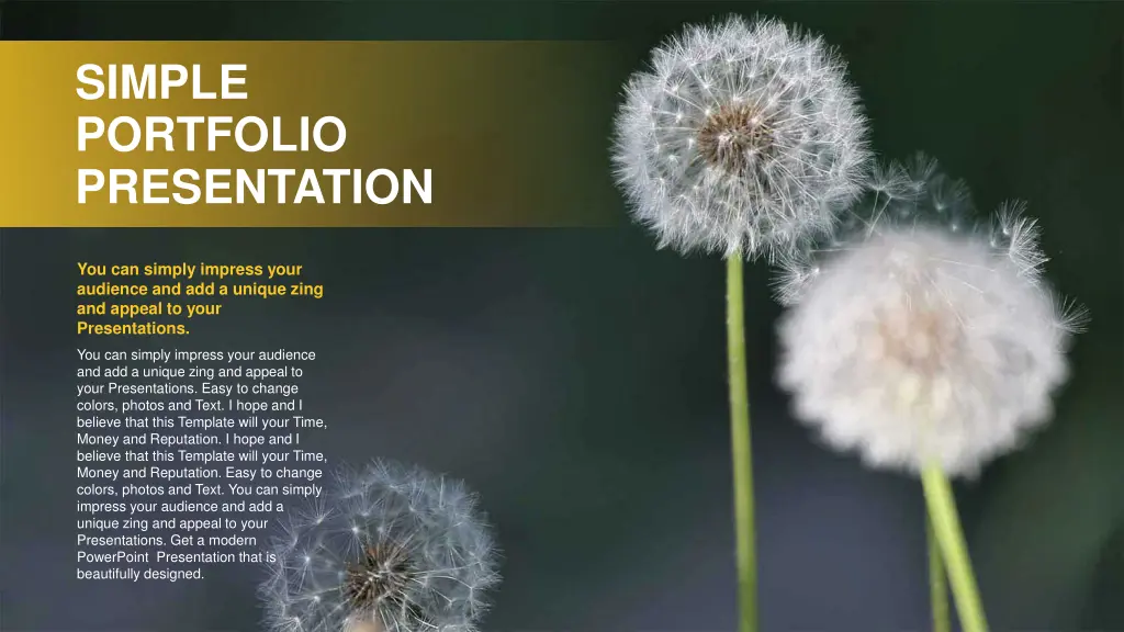 simple portfolio presentation 1