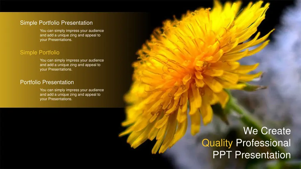 simple portfolio presentation