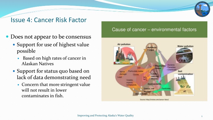 issue 4 cancer risk factor