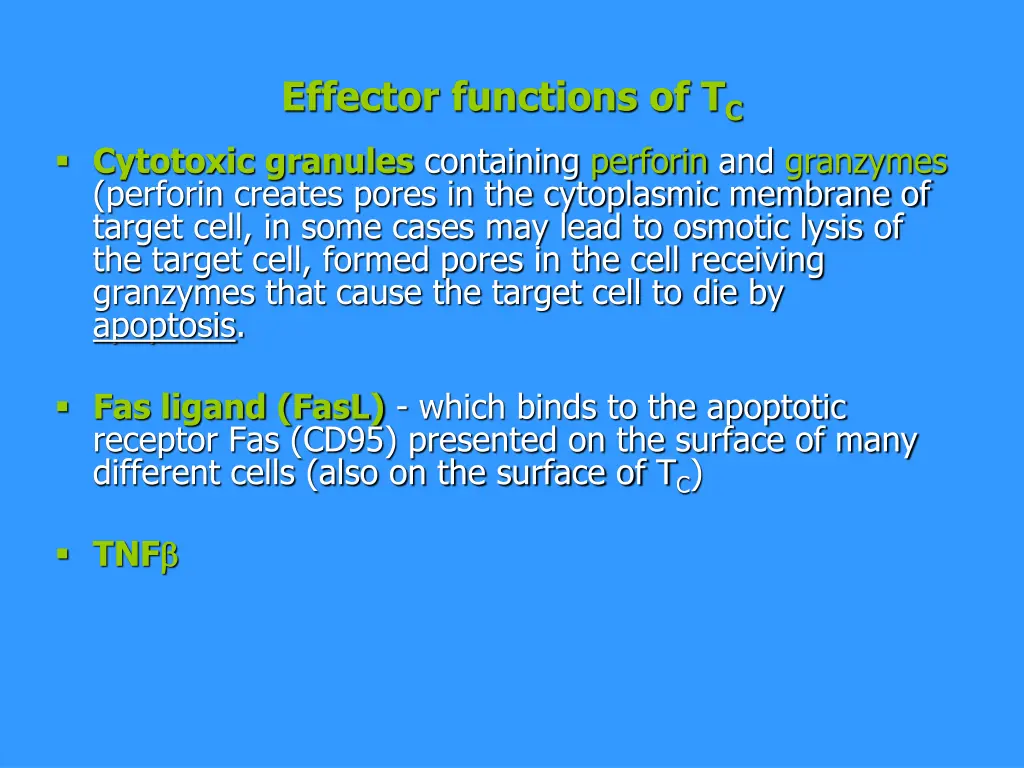 effector functions of t c cytotoxic granules