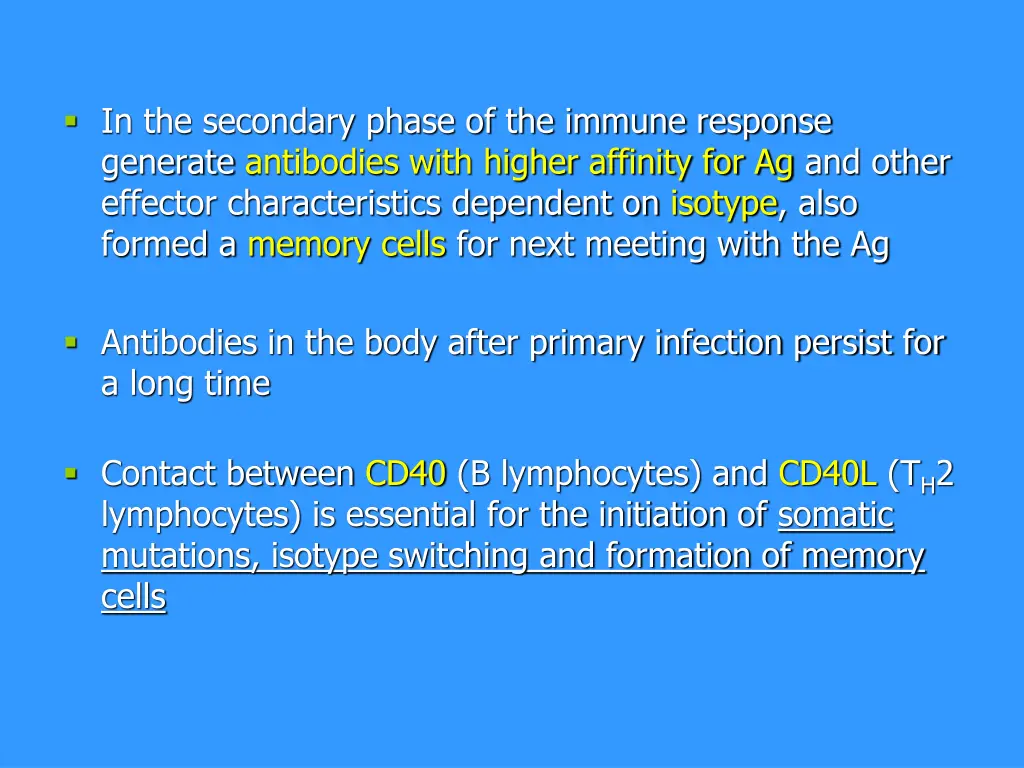 in the secondary phase of the immune response