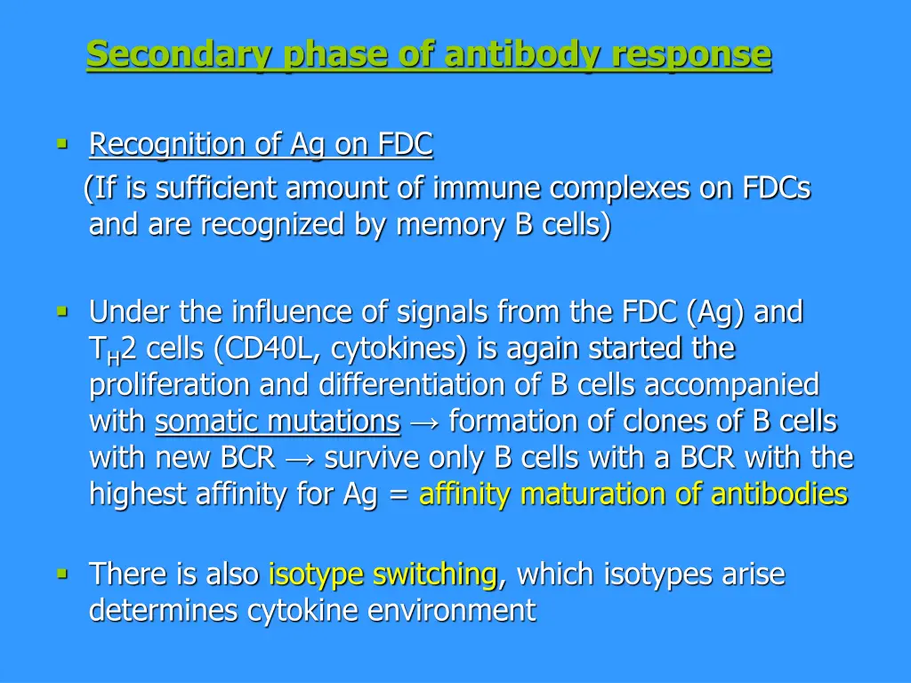 secondary phase of antibody response