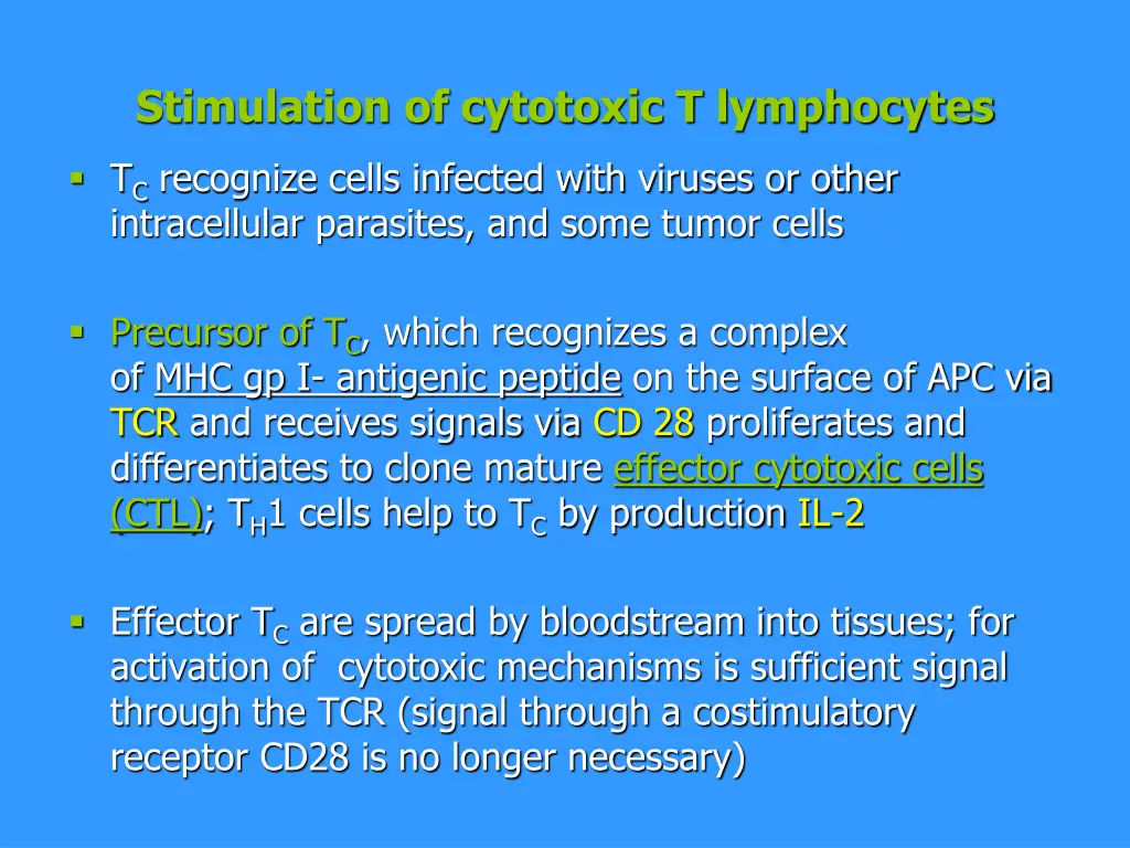 stimulation of cytotoxic t lymphocytes