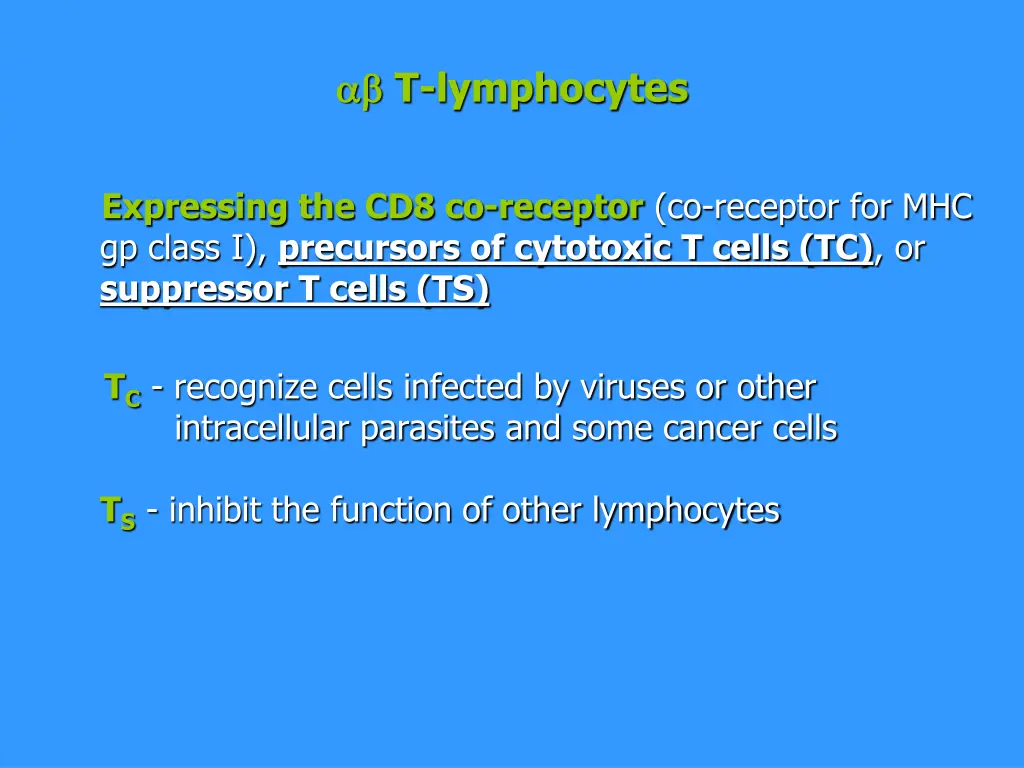 t lymphocytes 3