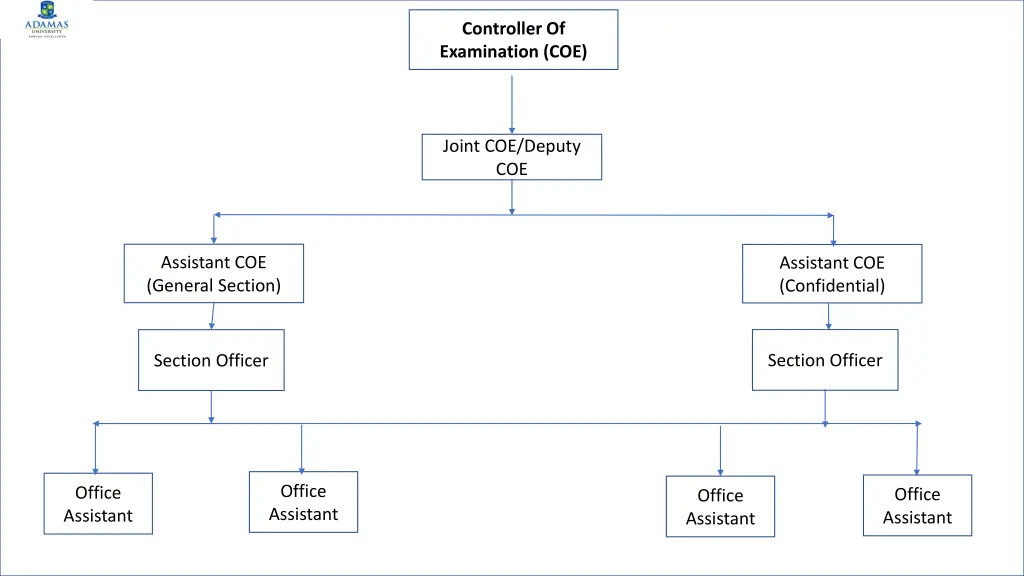 controller of examination coe