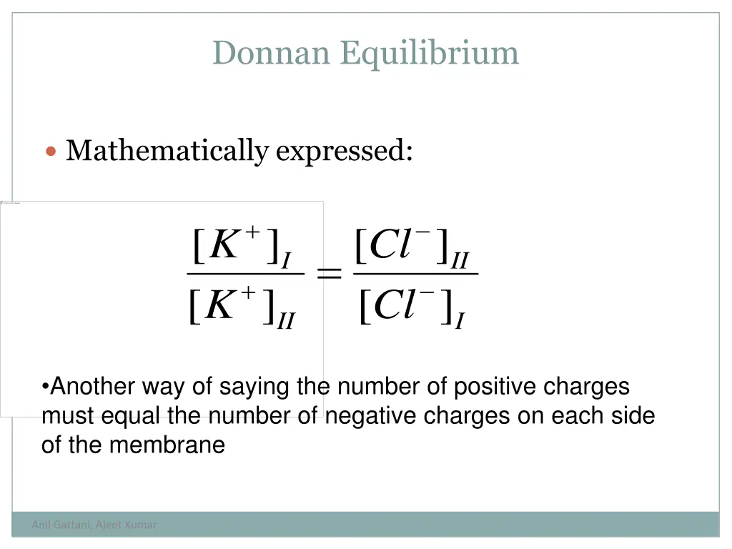 donnan equilibrium