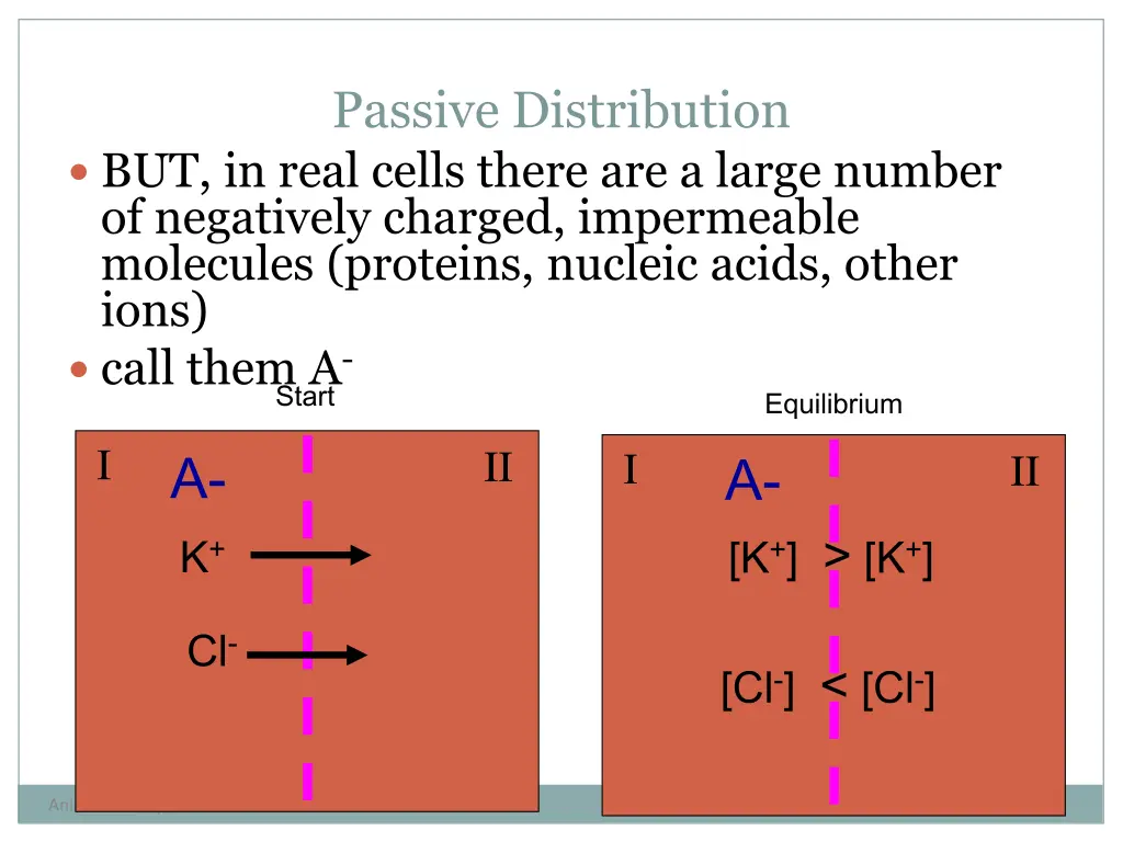passive distribution