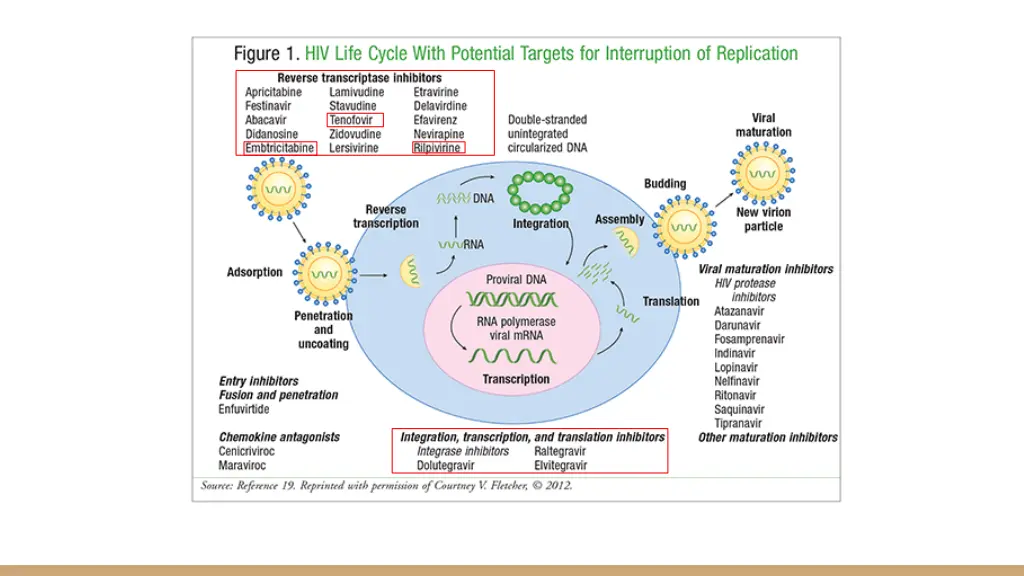slide5