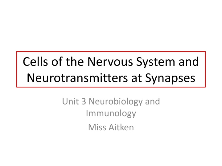 cells of the nervous system and neurotransmitters
