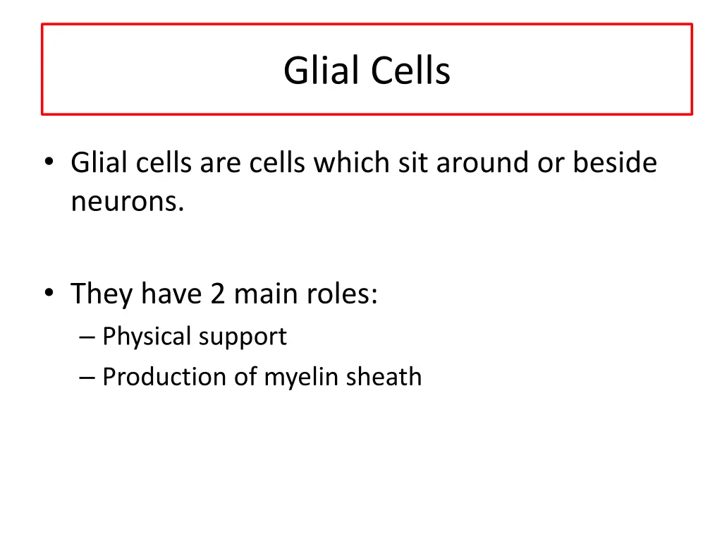glial cells