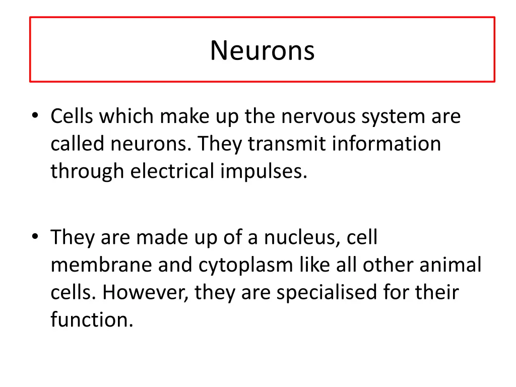 neurons