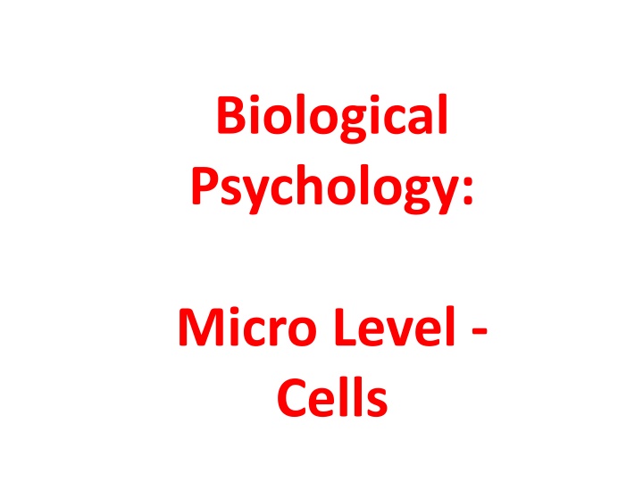 biological psychology