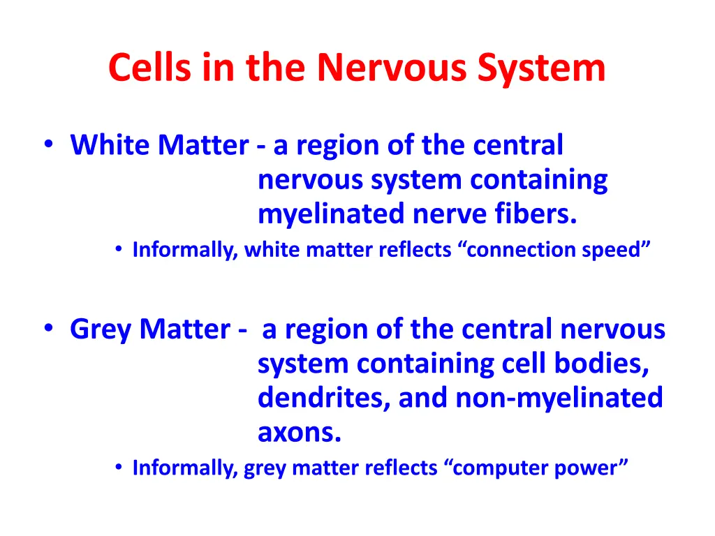 cells in the nervous system 2