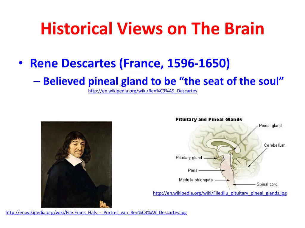 historical views on the brain 2