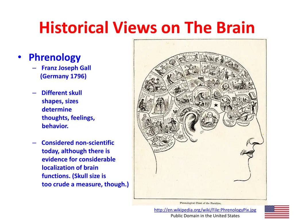 historical views on the brain 3