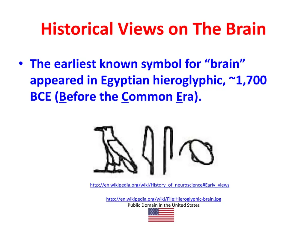 historical views on the brain