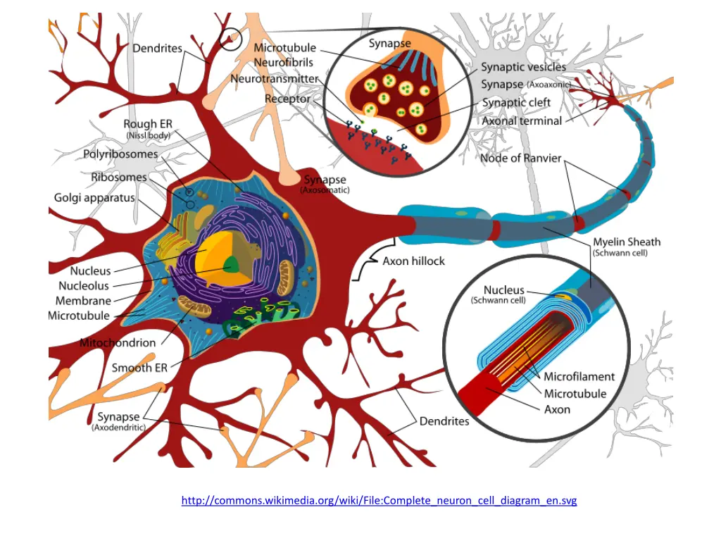 http commons wikimedia org wiki file complete