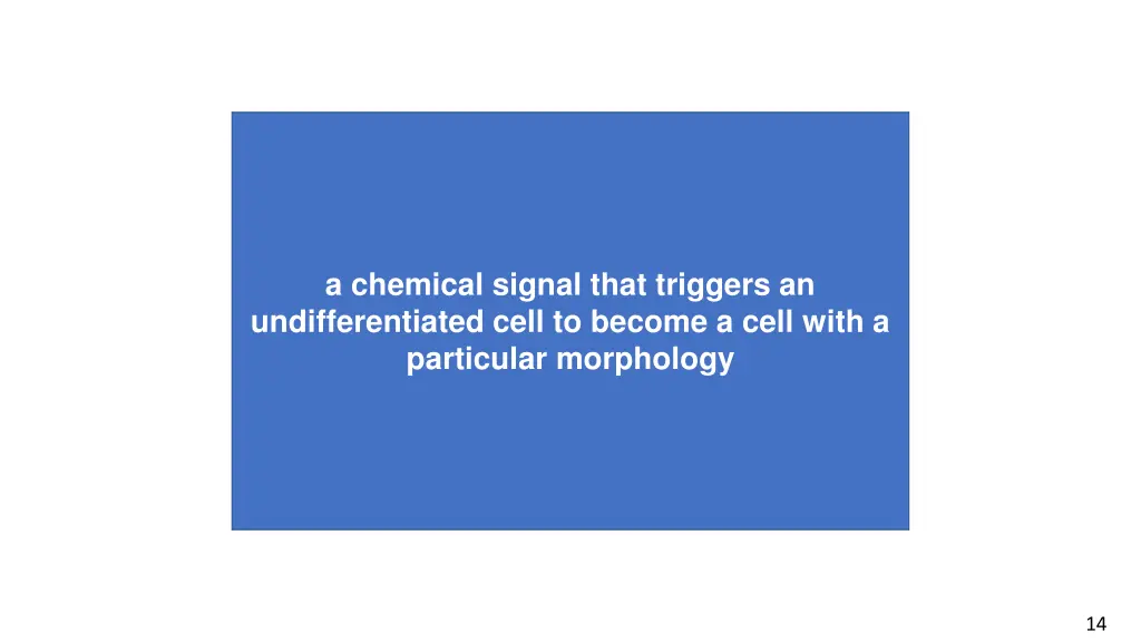 a chemical signal that triggers