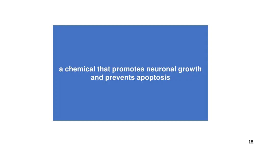 a chemical that promotes neuronal growth