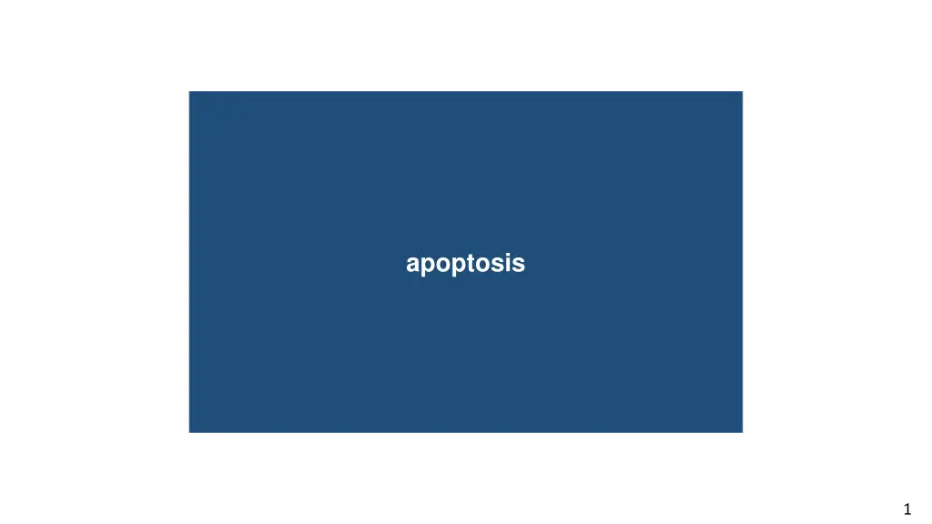 apoptosis