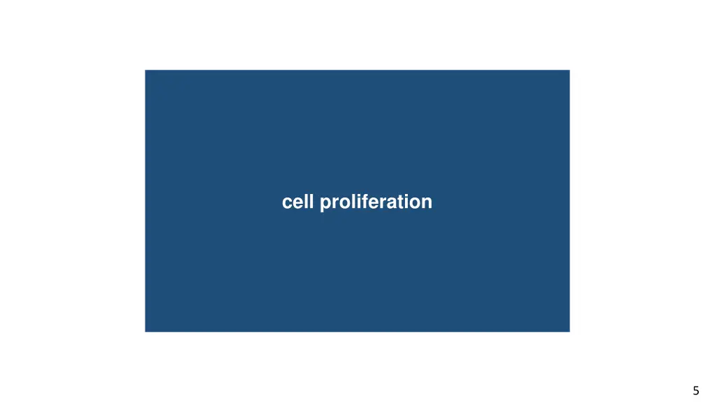cell proliferation