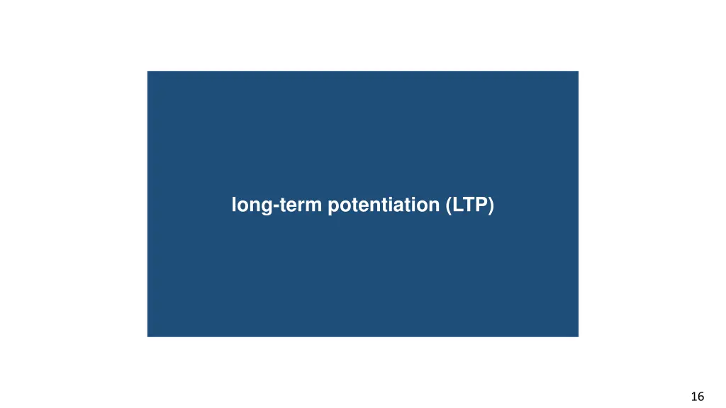 long term potentiation ltp