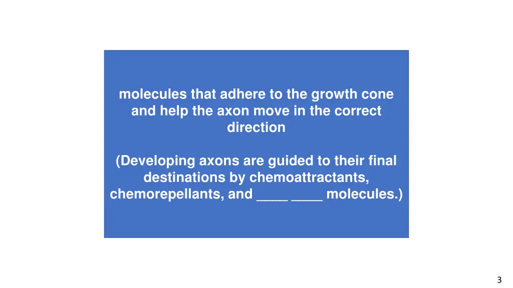 molecules that adhere to the growth cone and help