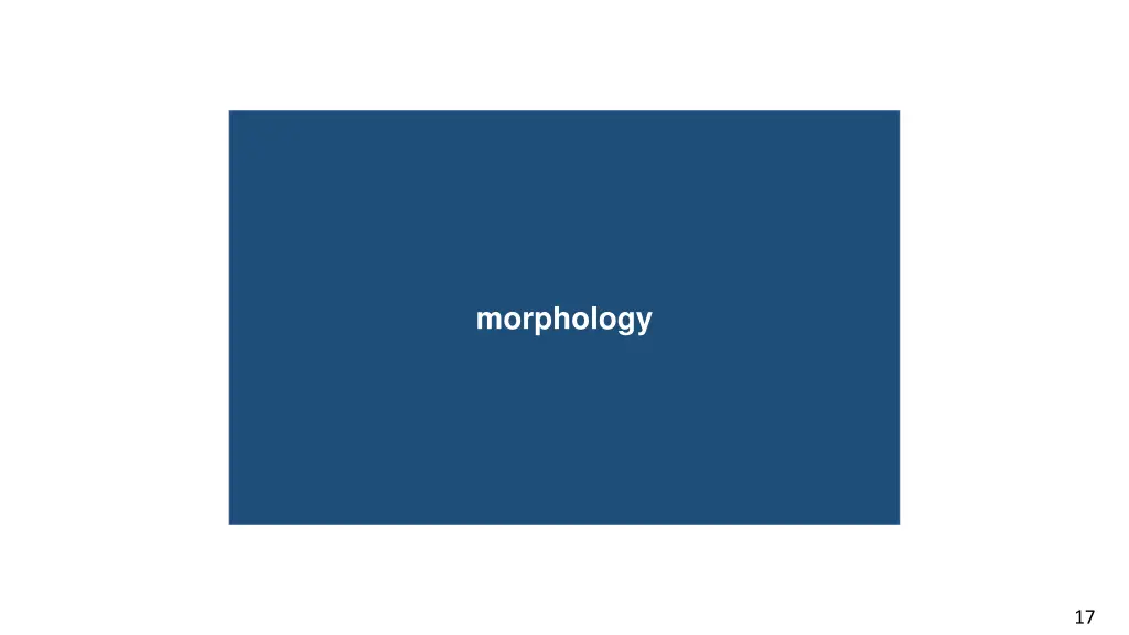 morphology