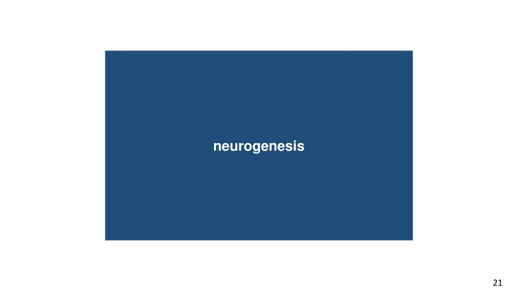 neurogenesis