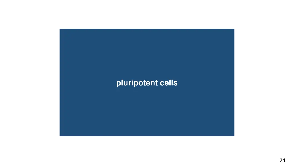 pluripotent cells