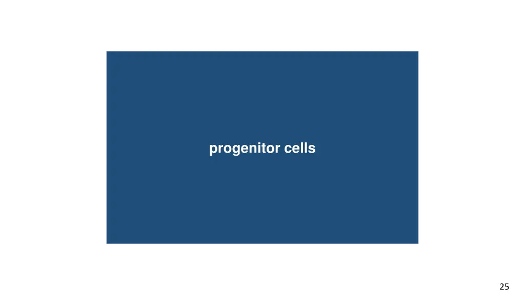 progenitor cells