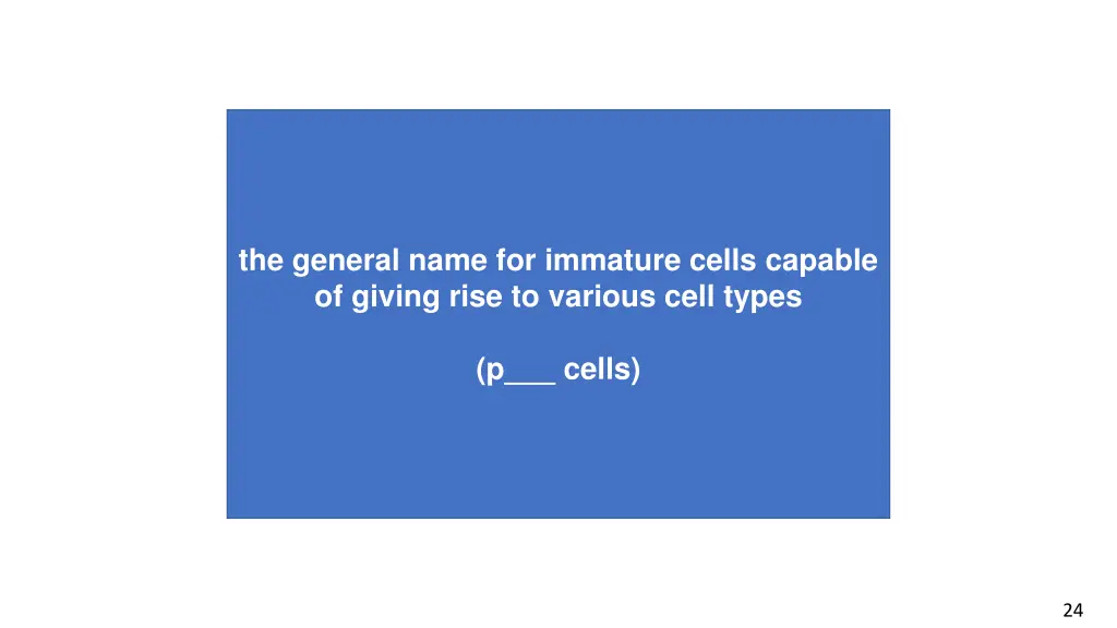 the general name for immature cells capable