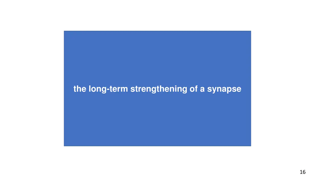 the long term strengthening of a synapse