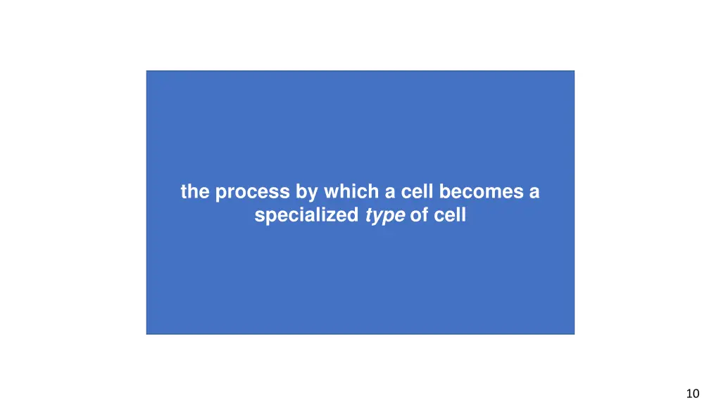 the process by which a cell becomes a specialized