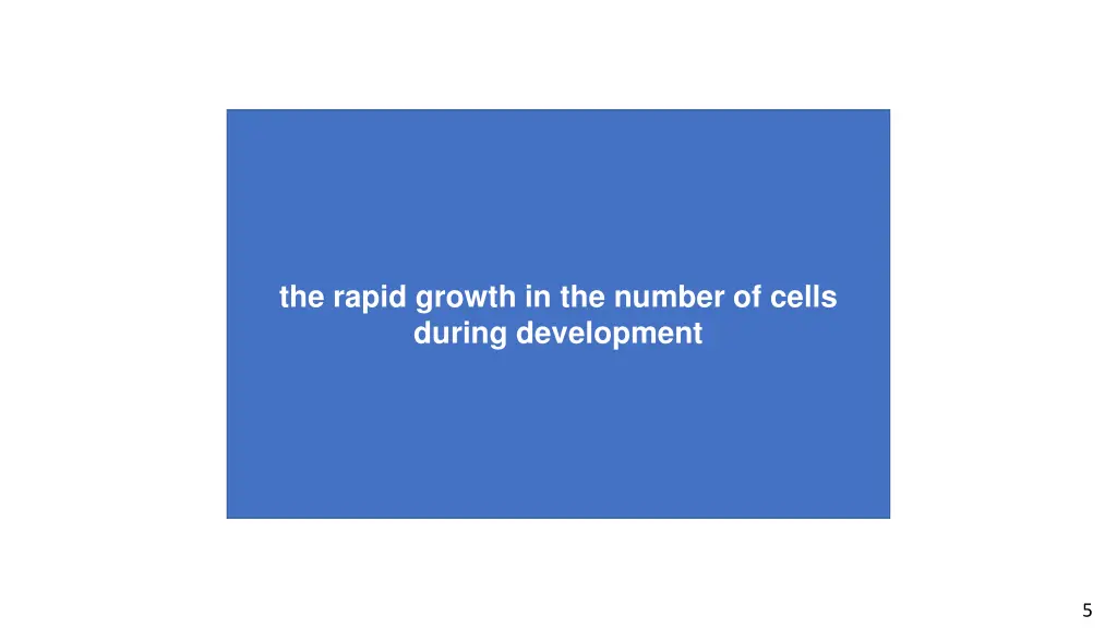 the rapid growth in the number of cells during