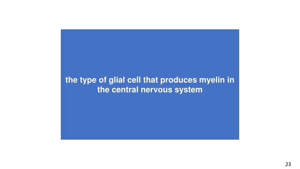 the type of glial cell that produces myelin