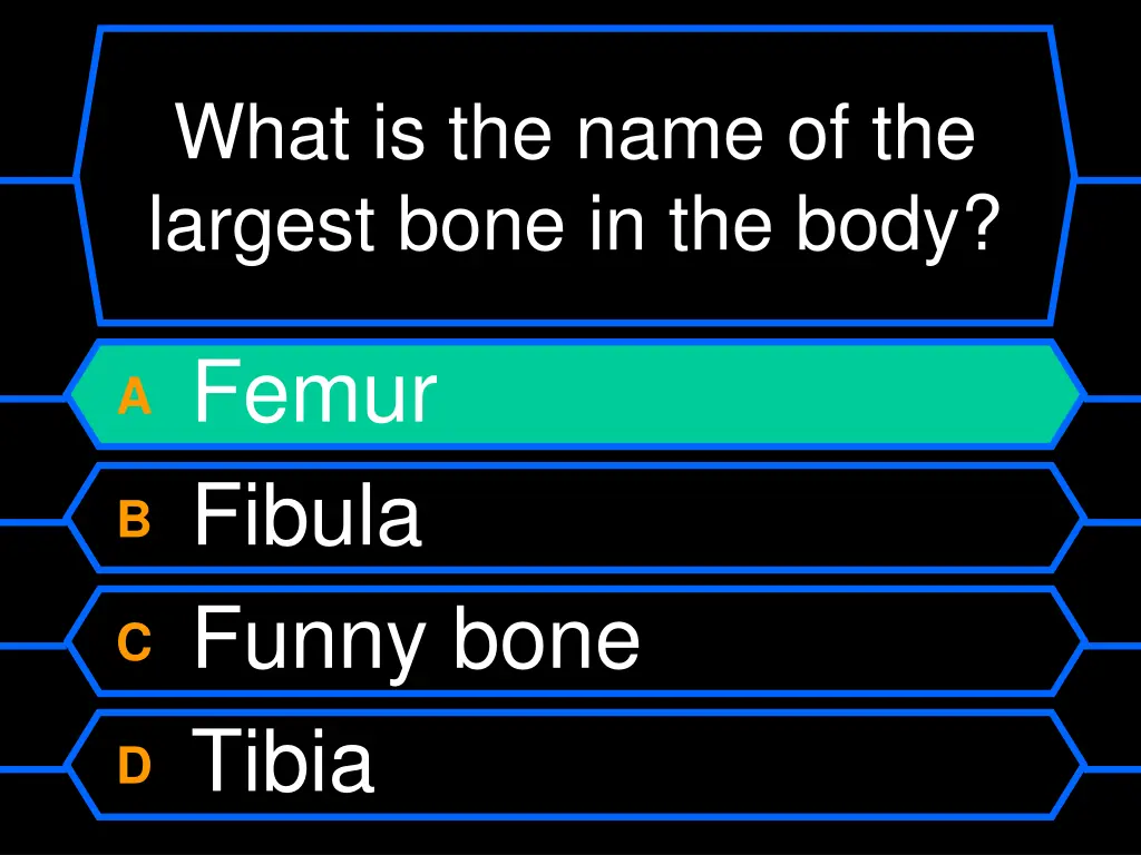 what is the name of the largest bone in the body 1