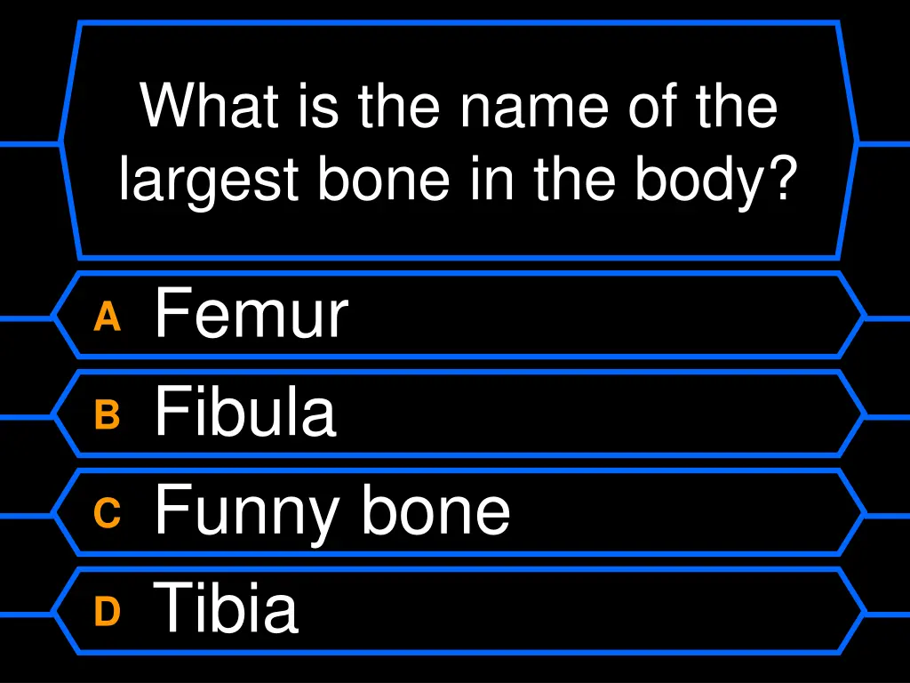 what is the name of the largest bone in the body
