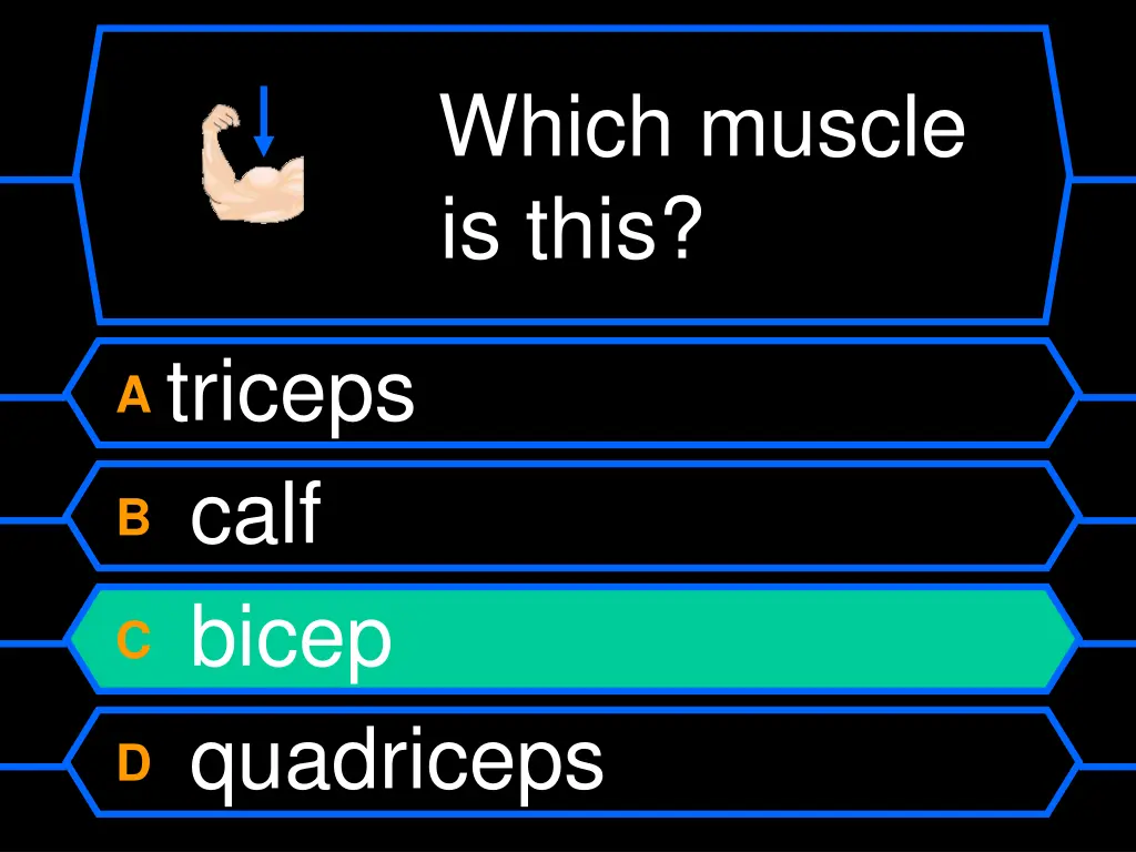 which muscle is this 1