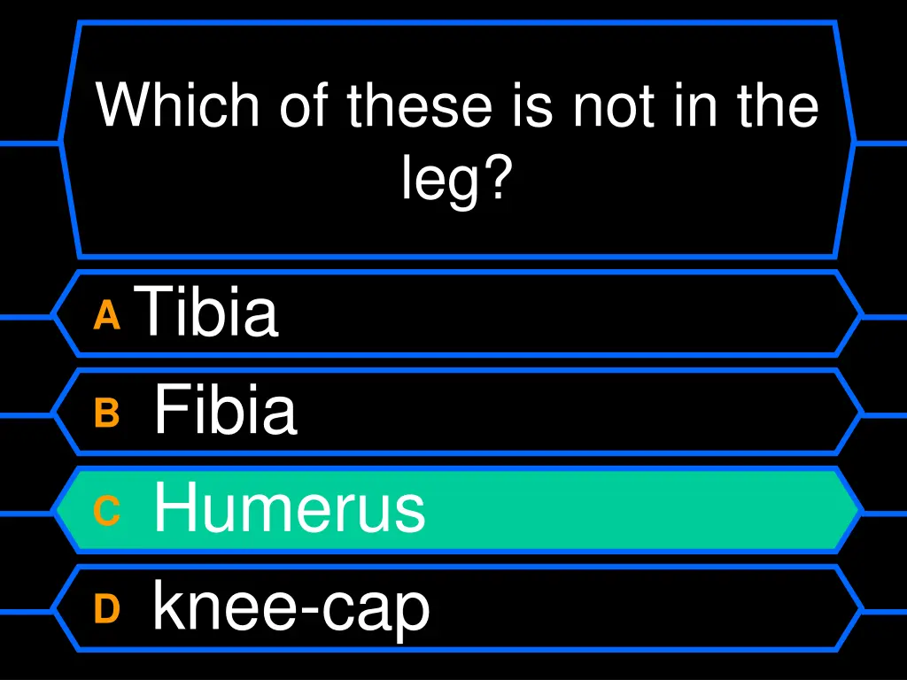which of these is not in the leg 1