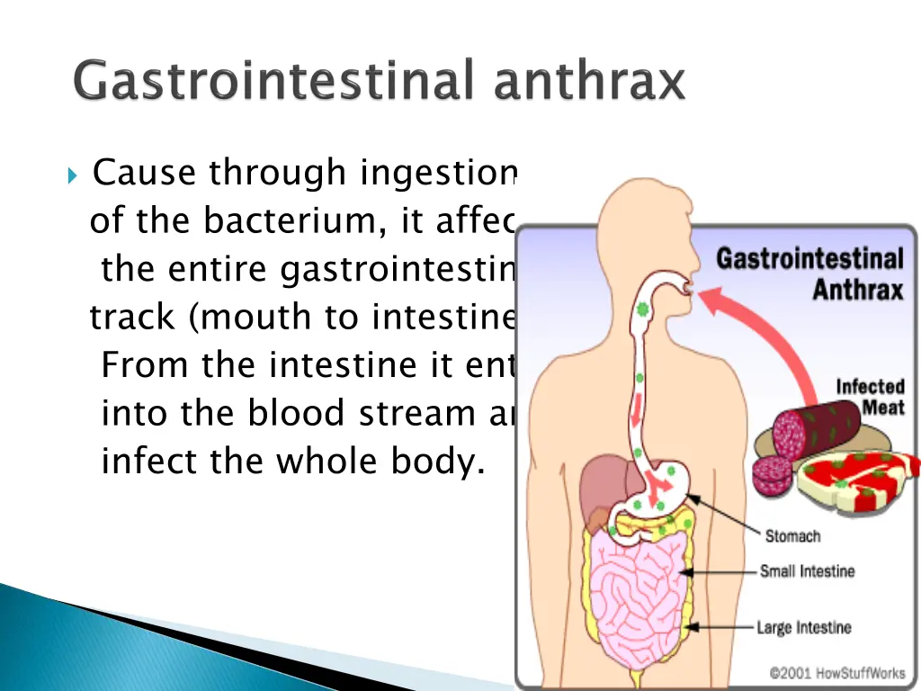 cause through ingestion of the bacterium