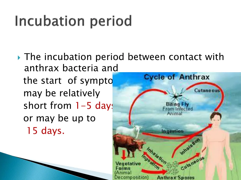 the incubation period between contact with